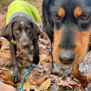 Meet your Posher, Eve